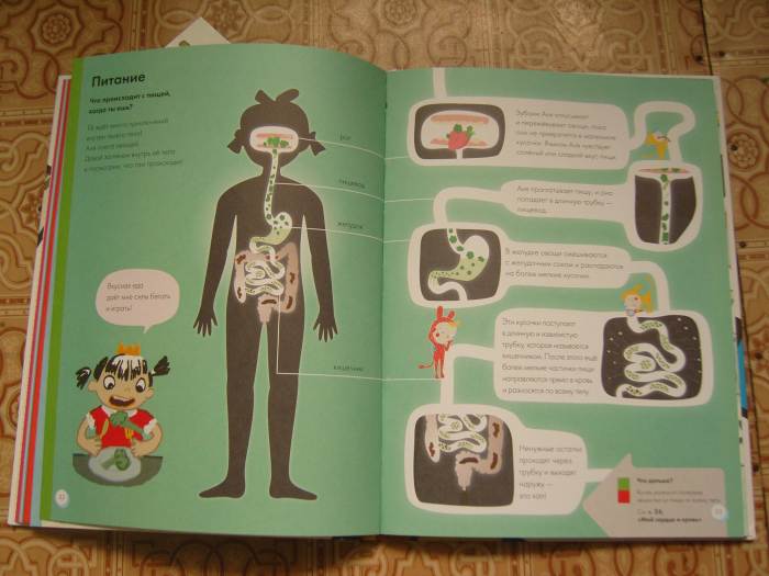 Мое тело.От макушки до пяток.