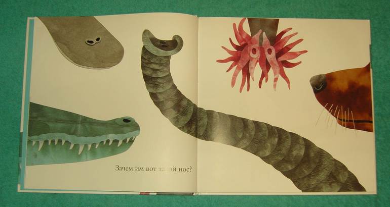 Про хвосты,носы и уши.Интересные факты.