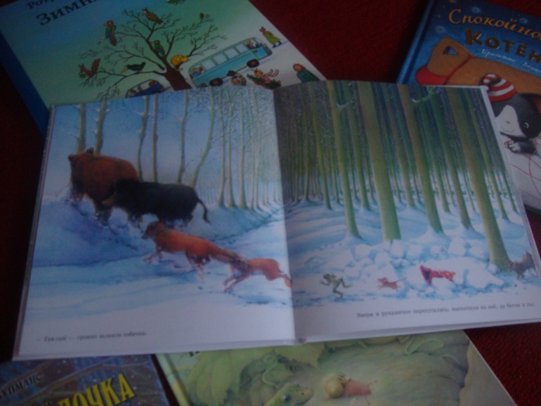 Наше пополнение