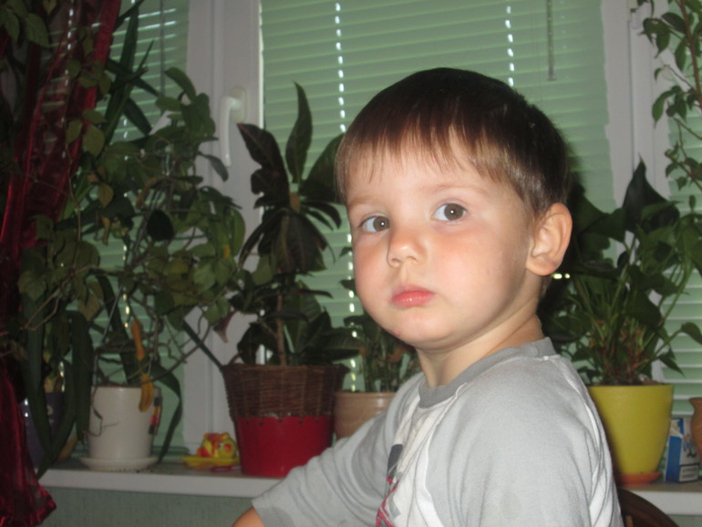 ТН динозавры