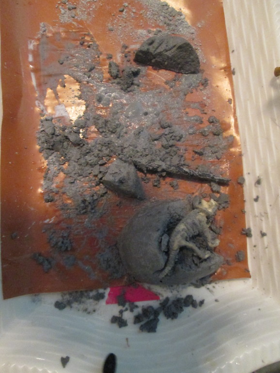 ТН динозавры