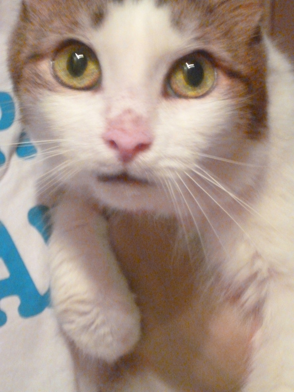 Контрольное задание № 16. Увеличение насыщенности