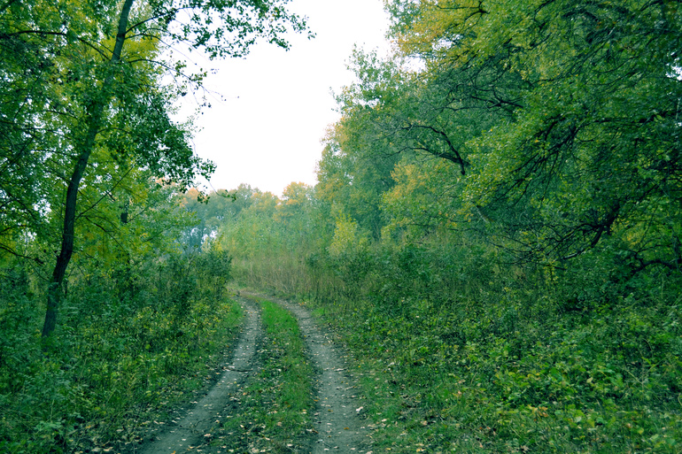 Контрольное задание № 6. Три способа цветокоррекций фотографий