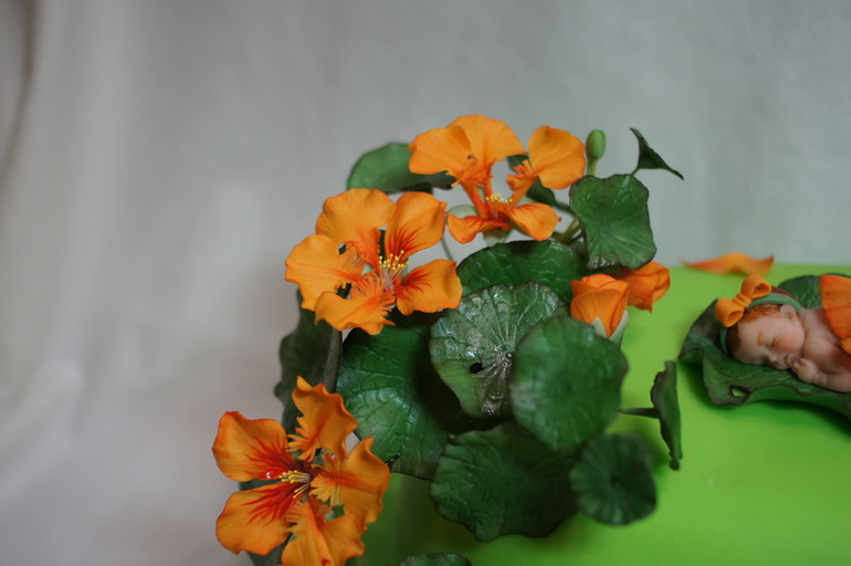 На годик с настурциями.