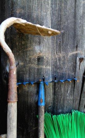 Заливное из листьев и прочая осень...