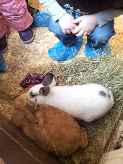 ВВЦ на ВДНХ