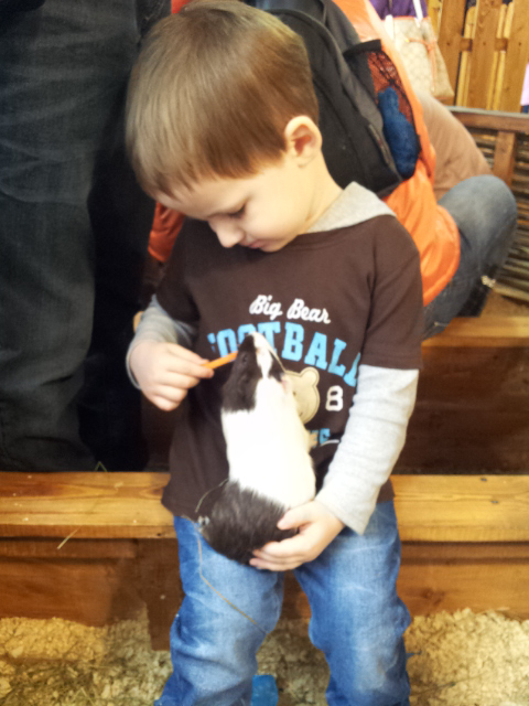 ВВЦ на ВДНХ