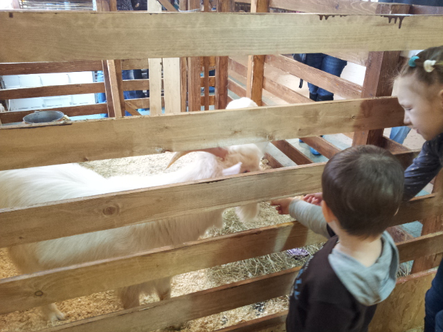 ВВЦ на ВДНХ