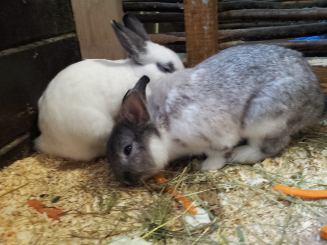 ВВЦ на ВДНХ