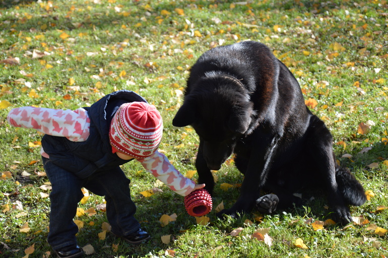 Братья меньшие