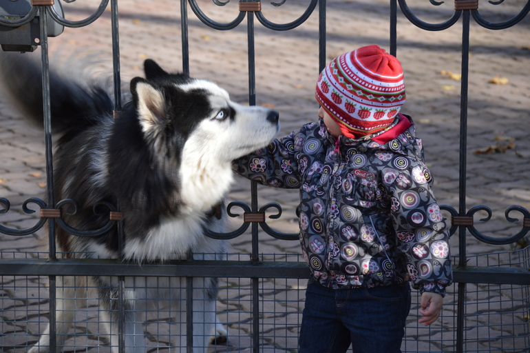 Братья меньшие