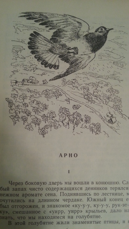 Мои детские книги