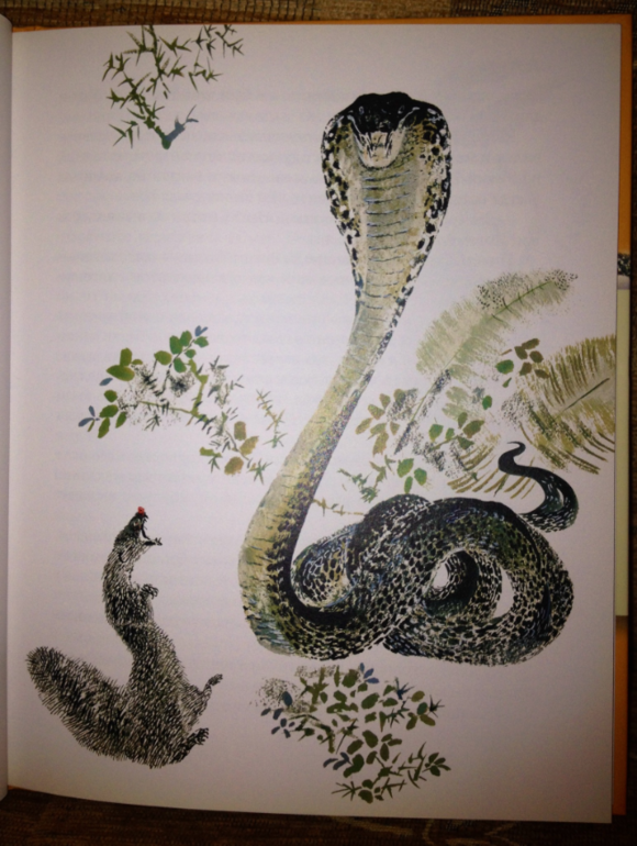 Рикки-Тикки-Тави  Джозеф Редьярд Киплинг