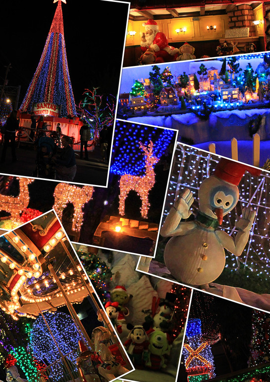 Парк Санты - новогодняя сказка в Майами (фото)