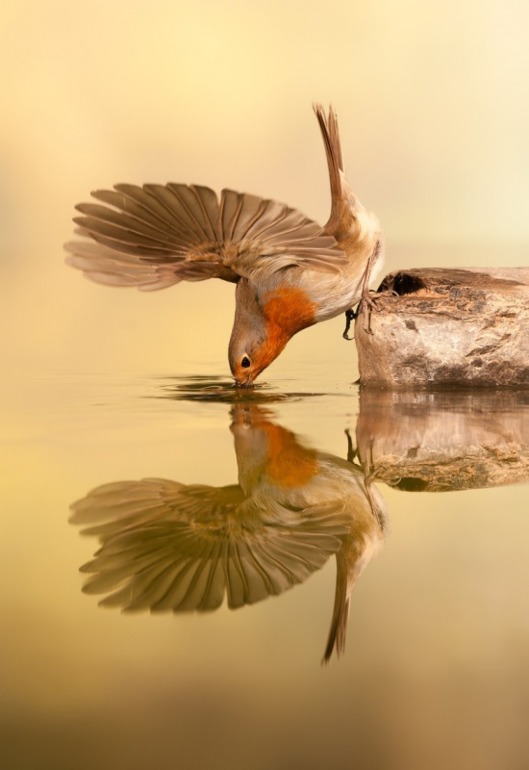 30 снимков месяца)