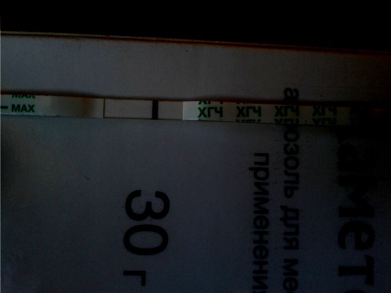 bed846c1fff338d782213e62cbef92f2.jpg