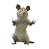 25743c4feab932e5a2ed9af52f071c74.gif