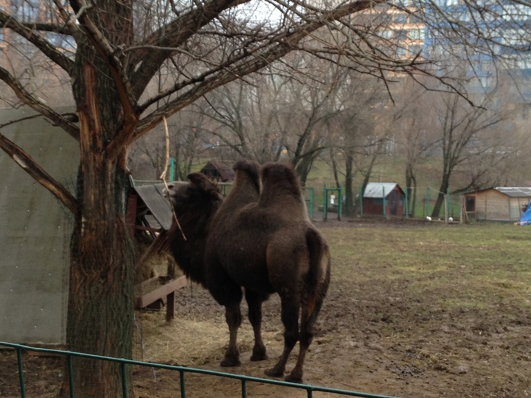 Необычные Московские Памятники - 2