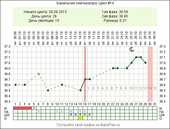 Какие мнения по графику?