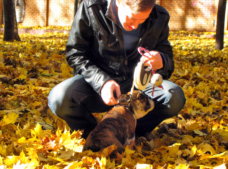 Наш бульдожка!)