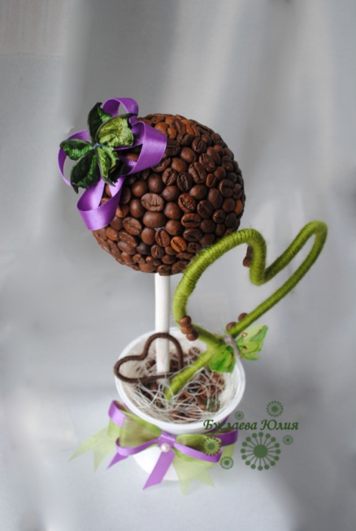 Кофейное дерево в подарок учителю.