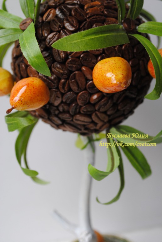 Кофейное дерево