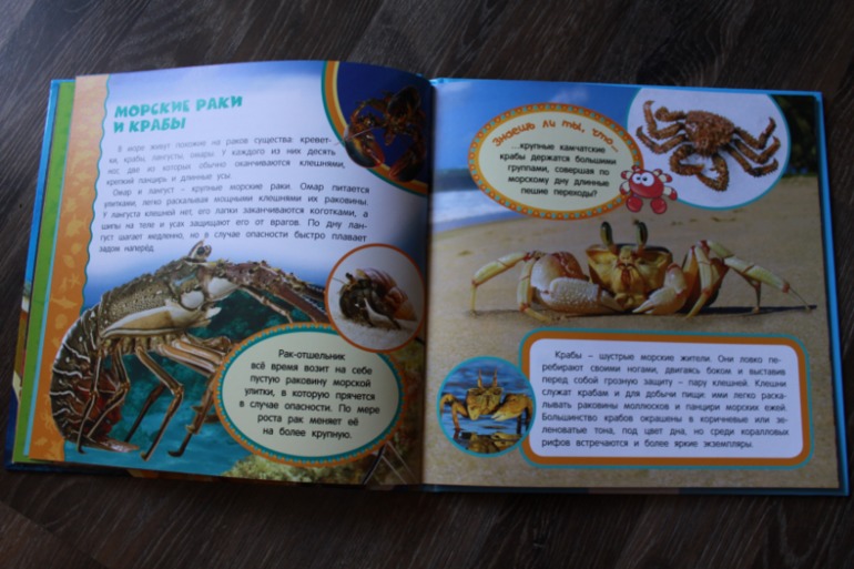 Наши долгожданные книги на 2,5 года + немного зимне-новогоднего