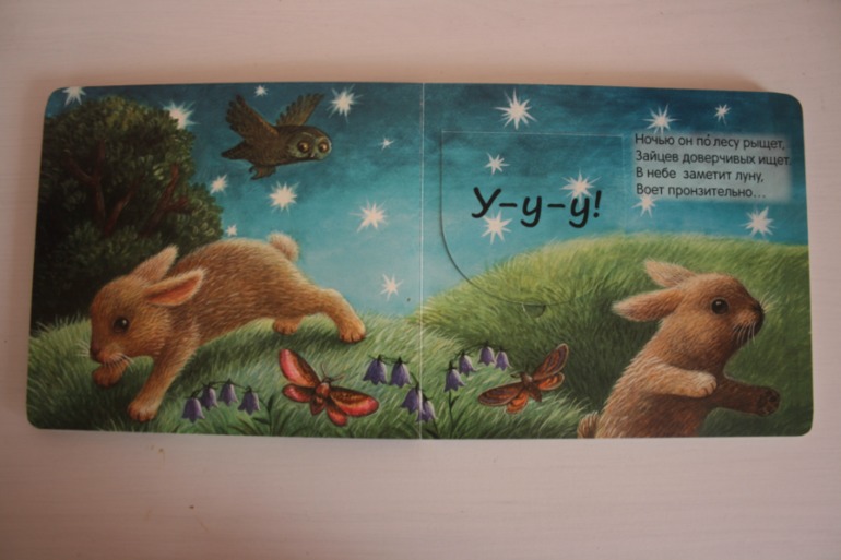 Что мы слышали в лесу и в деревне. Книжки с кармашками.