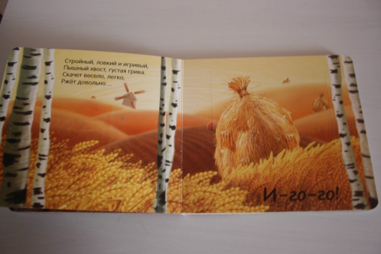 Что мы слышали в лесу и в деревне. Книжки с кармашками.