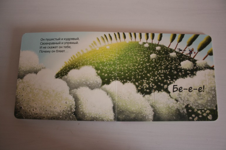 Что мы слышали в лесу и в деревне. Книжки с кармашками.