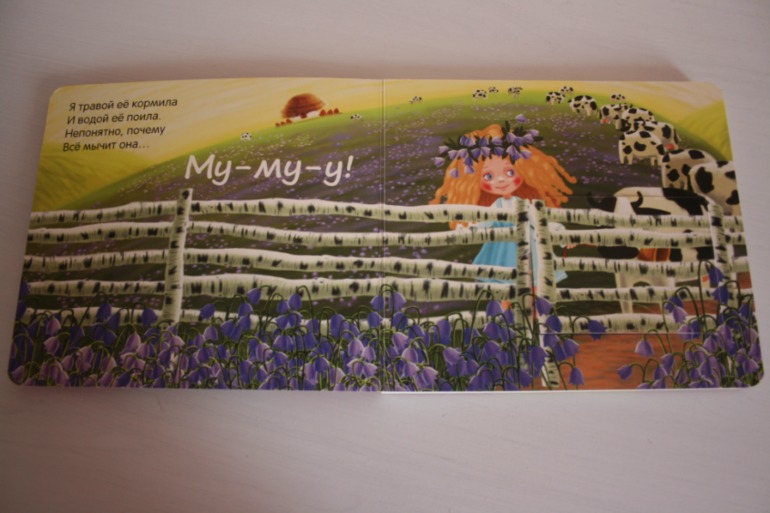 Что мы слышали в лесу и в деревне. Книжки с кармашками.