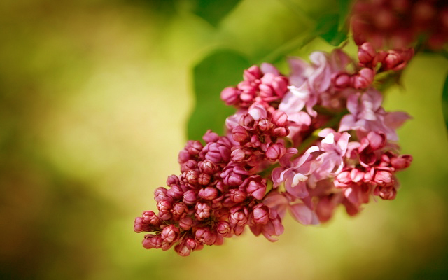 Контрольное задание № 5.