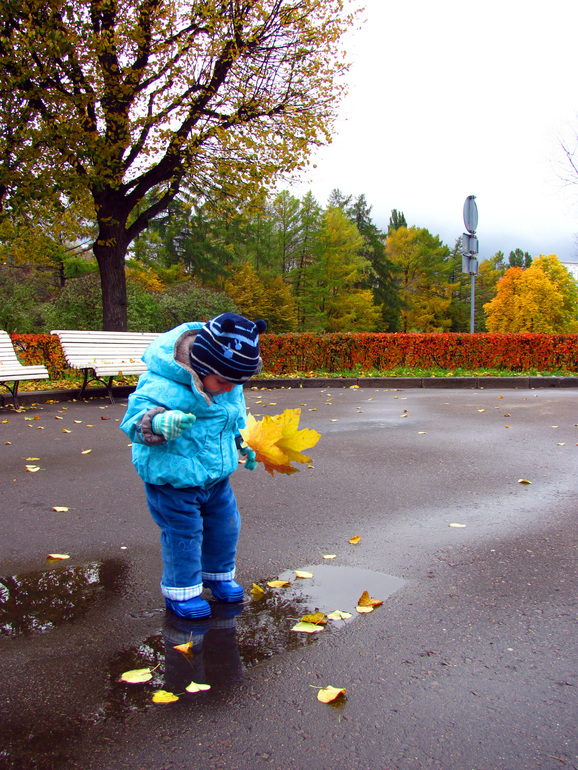 Контрольное задание № 2. Вырезание.