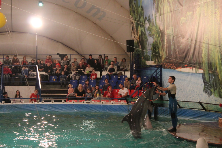 Дельфинарий!