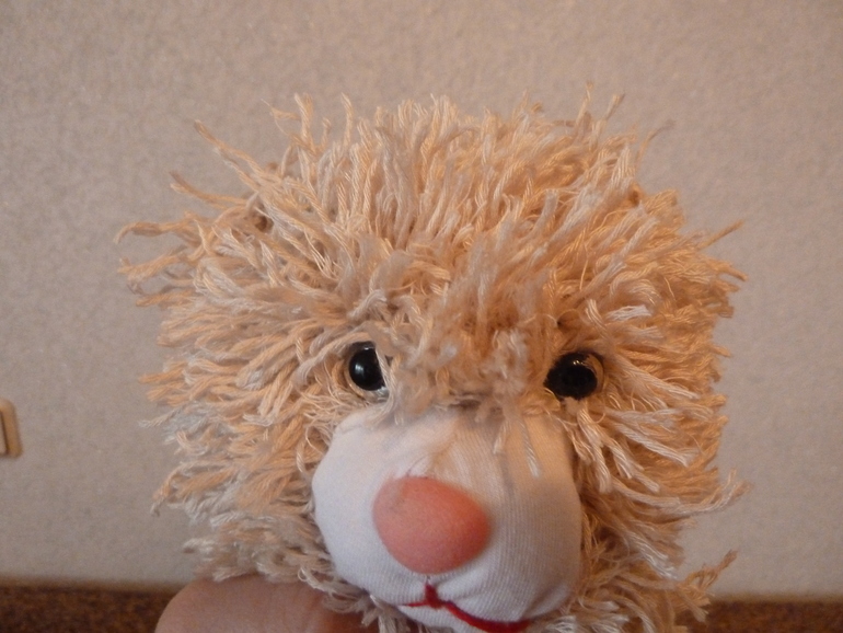 Миша, поедет в Москву к двойняжкам