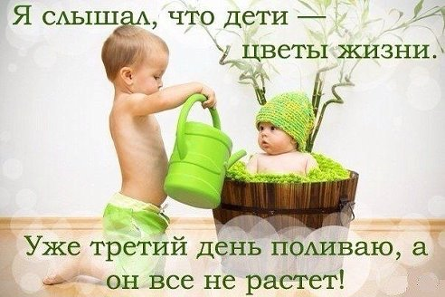 Сижу скучаю в ожидании родов