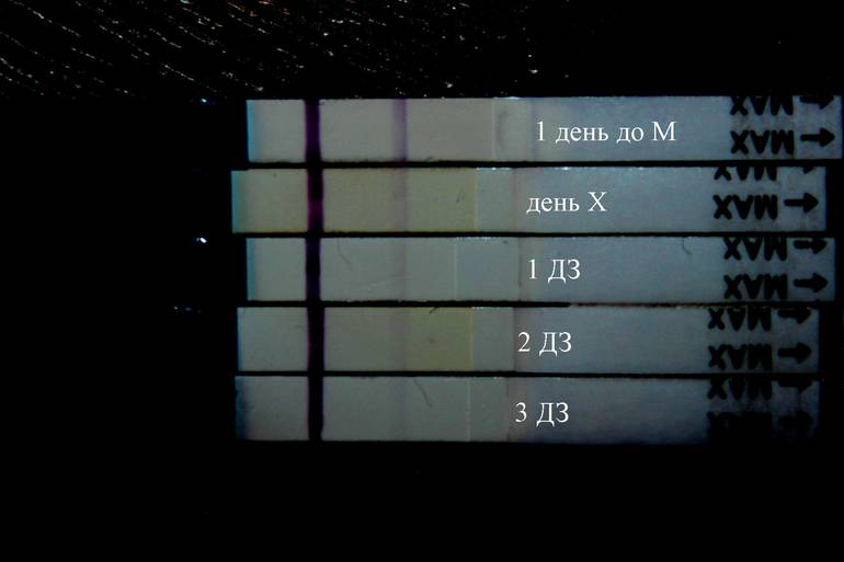 забираю Ваши М...