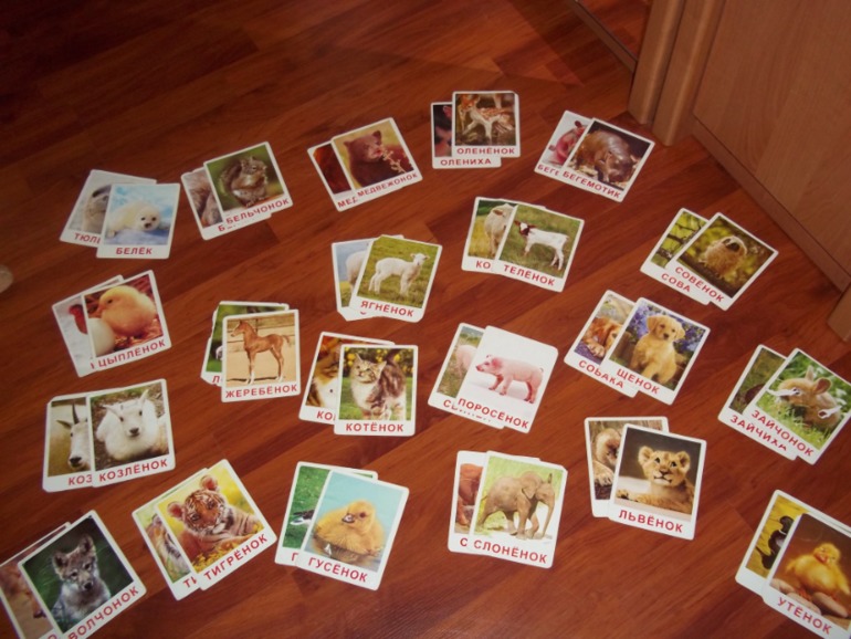 ТН Моя семья День 5 (заключительный)