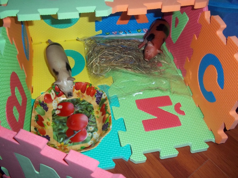 ТЗ Свинья, поросенок