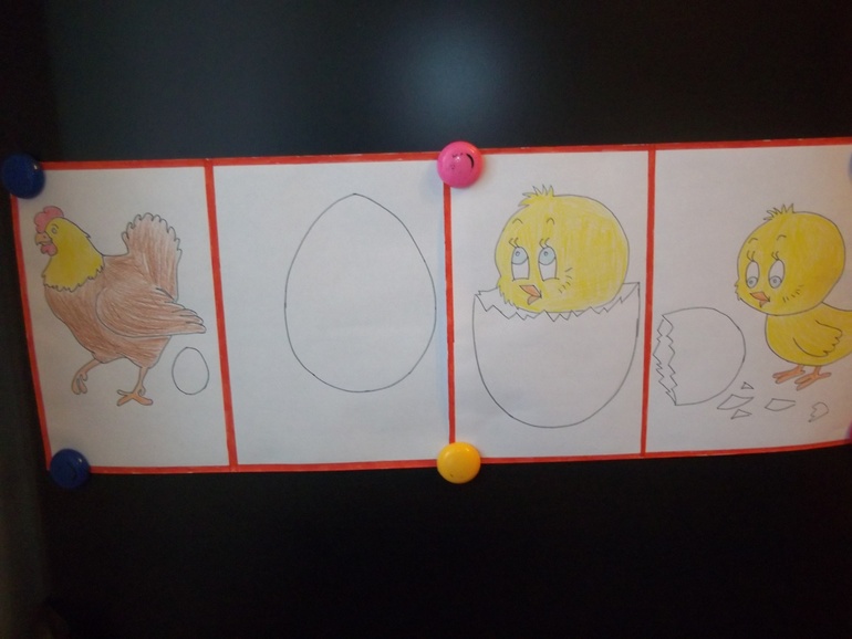 ТН Курица, петух, цыпленок