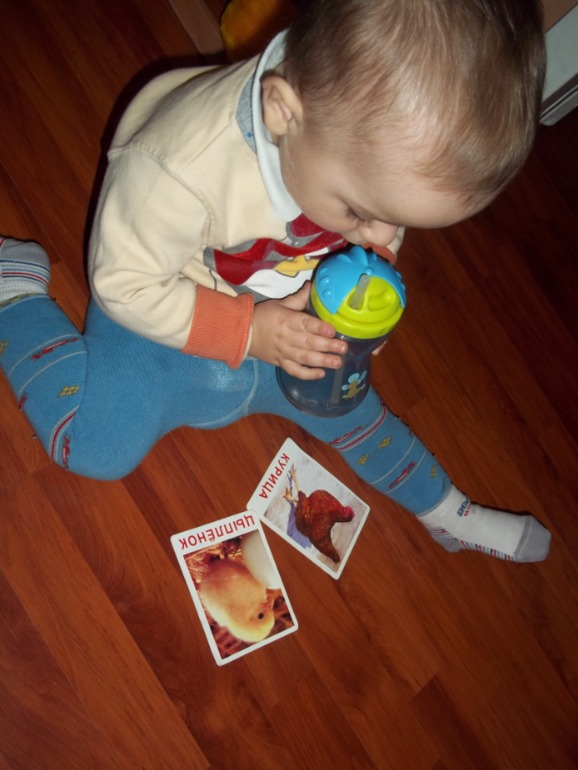 ТН Моя семья День 5 (заключительный)