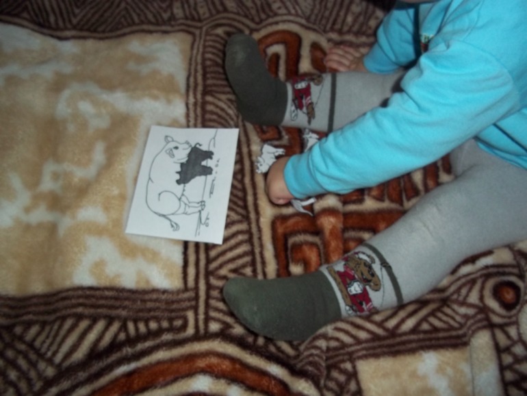 ТЗ Свинья, поросенок