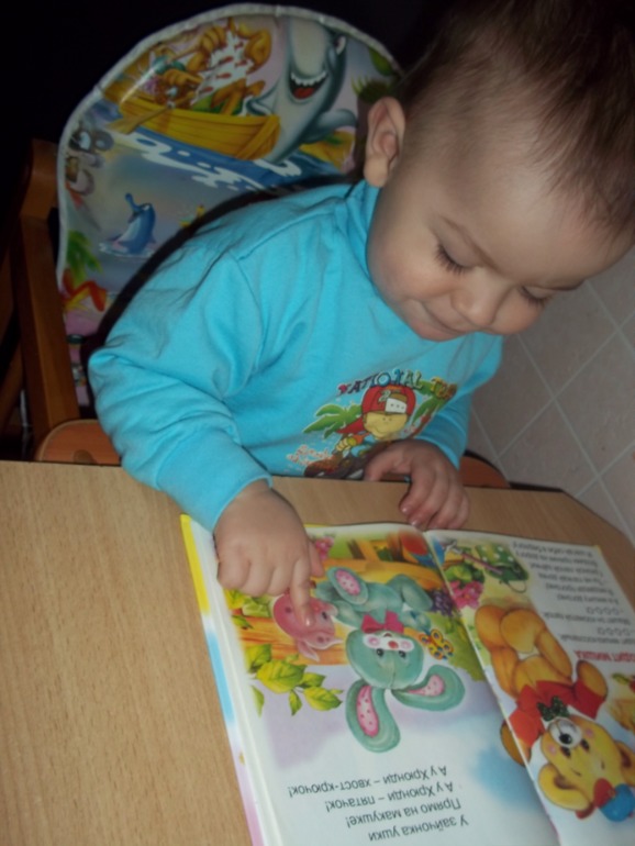 ТЗ Свинья, поросенок