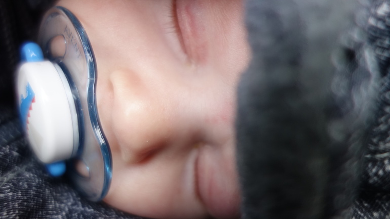 Погодки в зоопарке