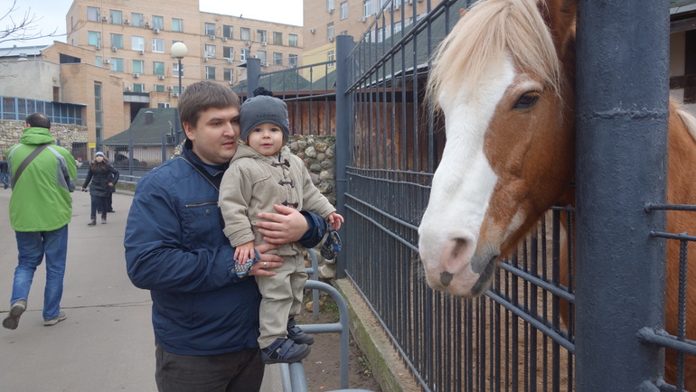 Погодки в зоопарке