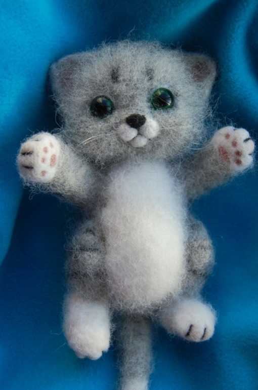 Очередной котик.