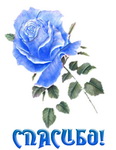 ba7d2b34a07df24c41fff3f2cffa016c.jpg