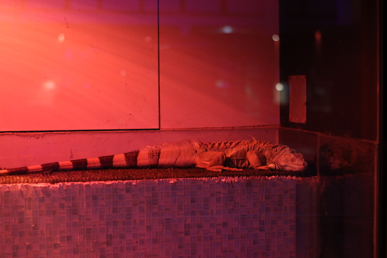 Всеросийский выстовочный центр.