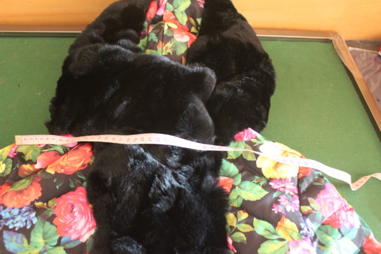 Пухочик RCAT. Живые фото!