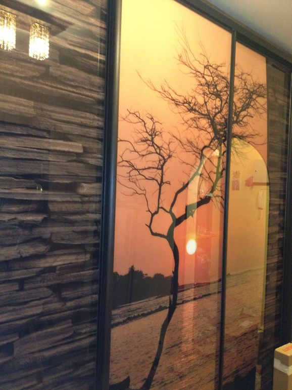 Шкафы- купе на заказ по индивидуальным проектам